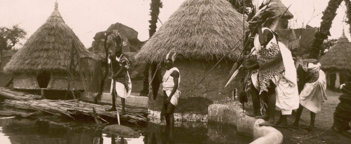 Museen und Völkerschauen - Geschichtsbuch Hamburg